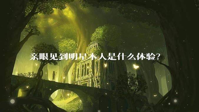 亲眼见到明星本人是什么体验？