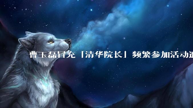 曹玉磊冒充「清华院长」频繁参加活动遭官方打***，他为何能堂而皇之以***身份开展活动？其将受到哪些处罚？