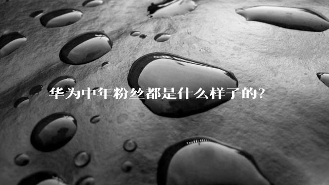 华为中年粉丝都是什么样子的？