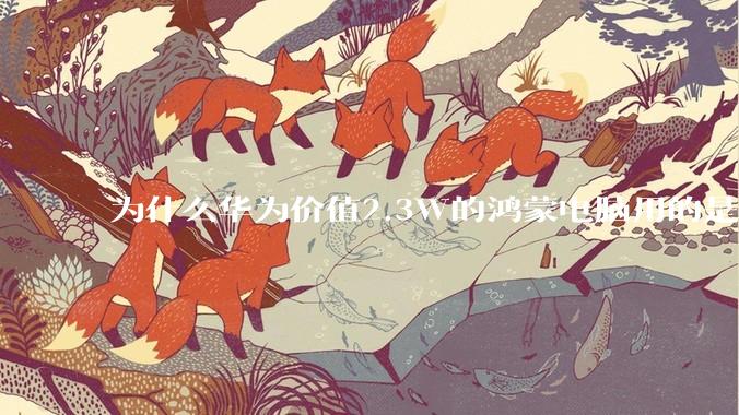 为什么华为价值2.3W的鸿蒙电脑用的是美国西数的SN740固态硬盘？