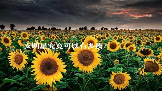 女明星究竟可以有多瘦？