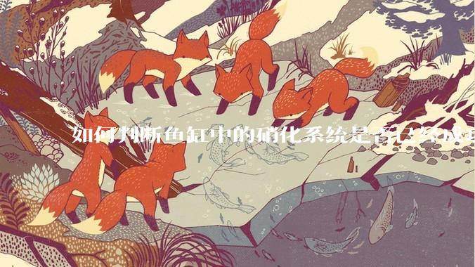 如何判断鱼缸中的硝化系统是否已经成功建立？