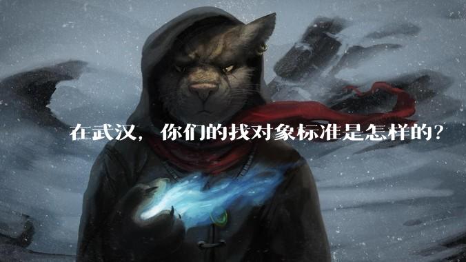 在武汉，你们的找对象标准是怎样的？