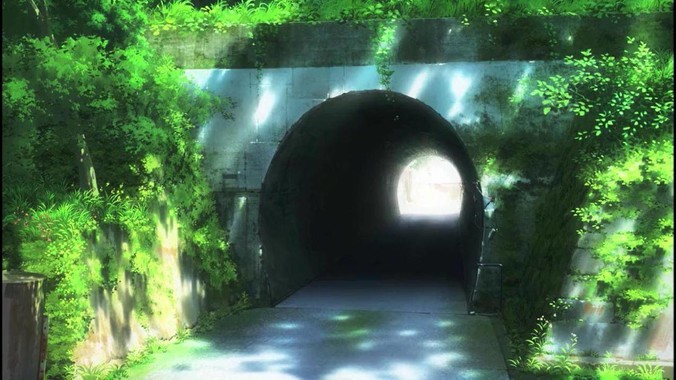 我养的小乌龟一天不吃龟食会不会饿死呢？